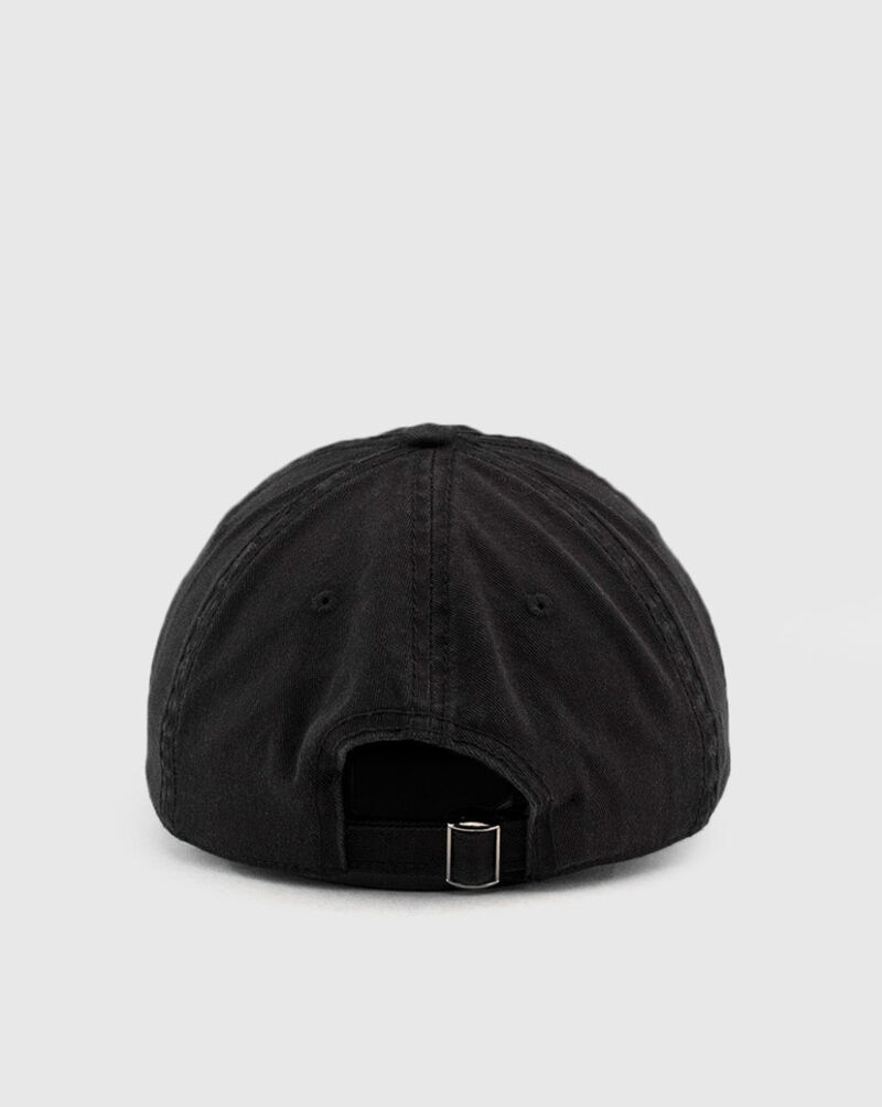 Dragon Ball Z Dad Hat